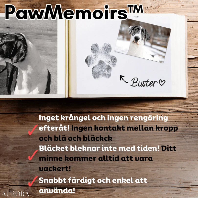 Miniatyrbild 1